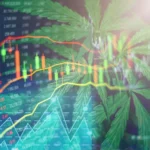 5starsstocks.com cannabis: A Deep Dive Into Cannabis Stocks, Market Trends, and Smart Investment Insights